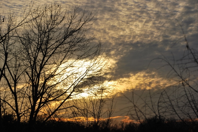 DSC_1085 (640x428).jpg