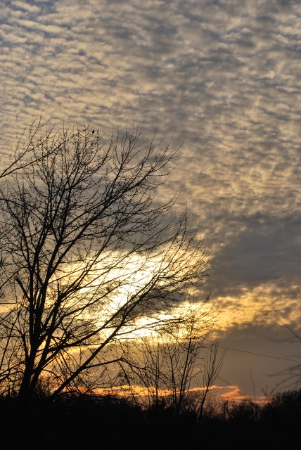 DSC_1086 (428x640).jpg