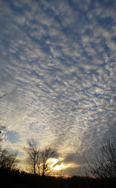 DSC_1087 (397x640).jpg