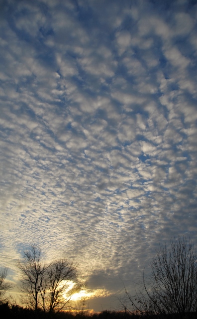 DSC_1088 (396x640).jpg