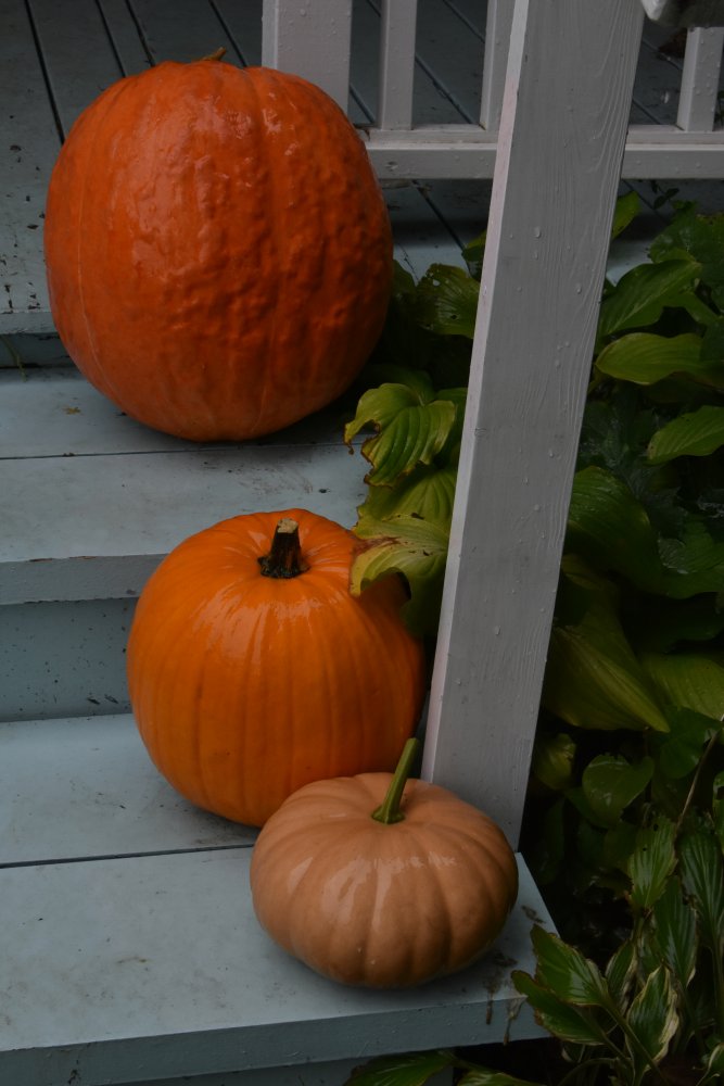 DSC_1626.jpeg