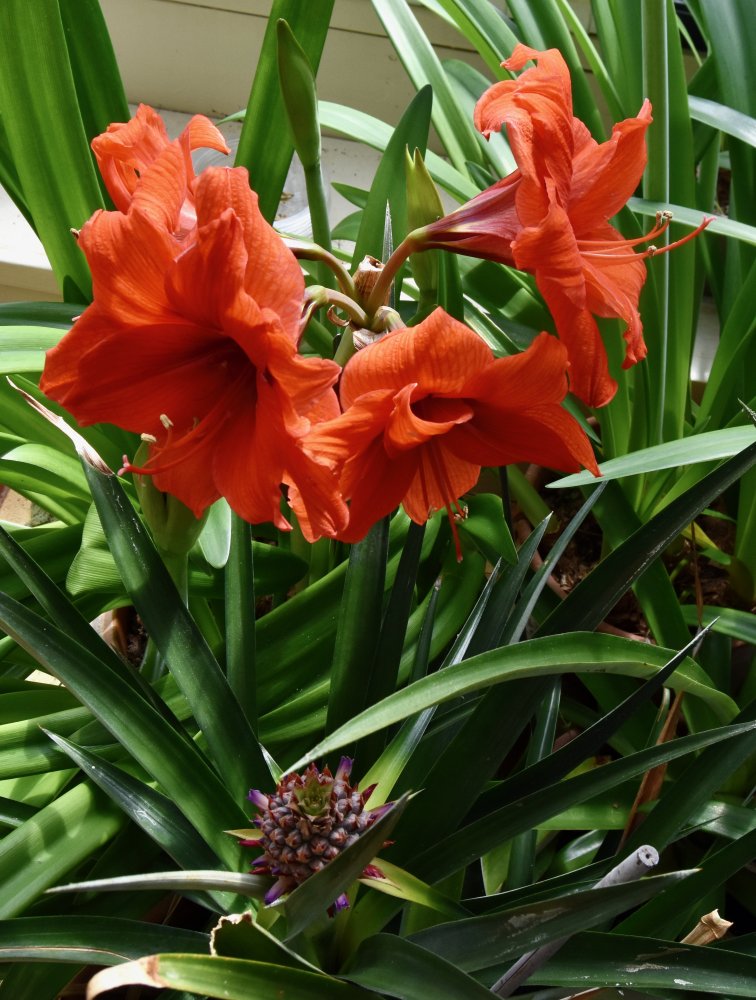 DSC_2086.jpeg