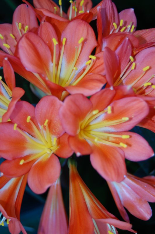 DSC_9813.jpg
