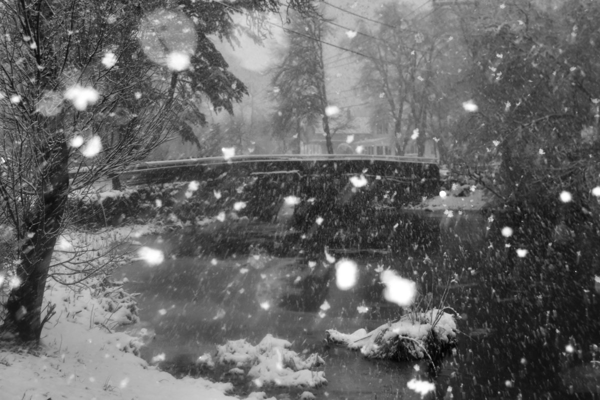 DSC_9980.jpeg