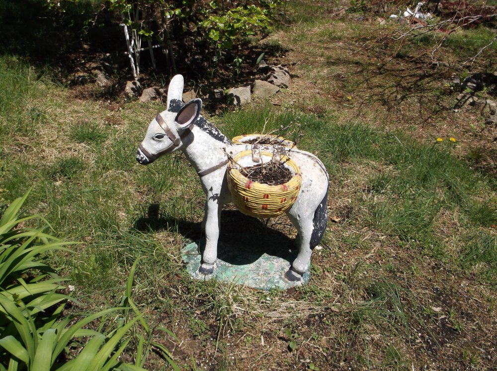 DSCF0061.JPG