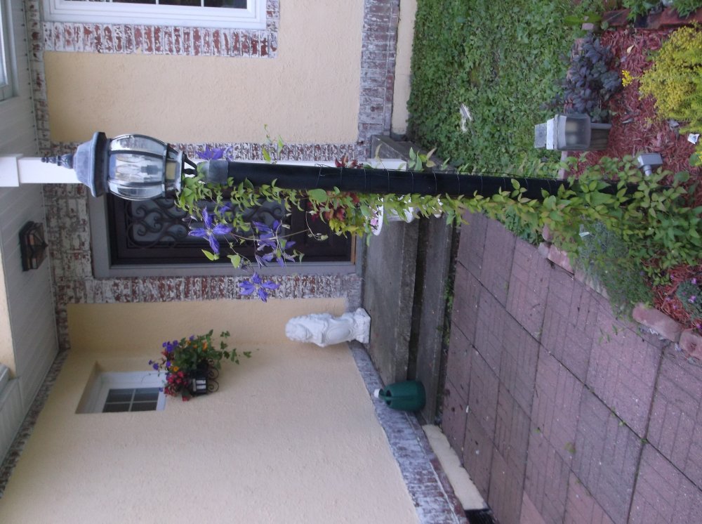 DSCF0130.JPG