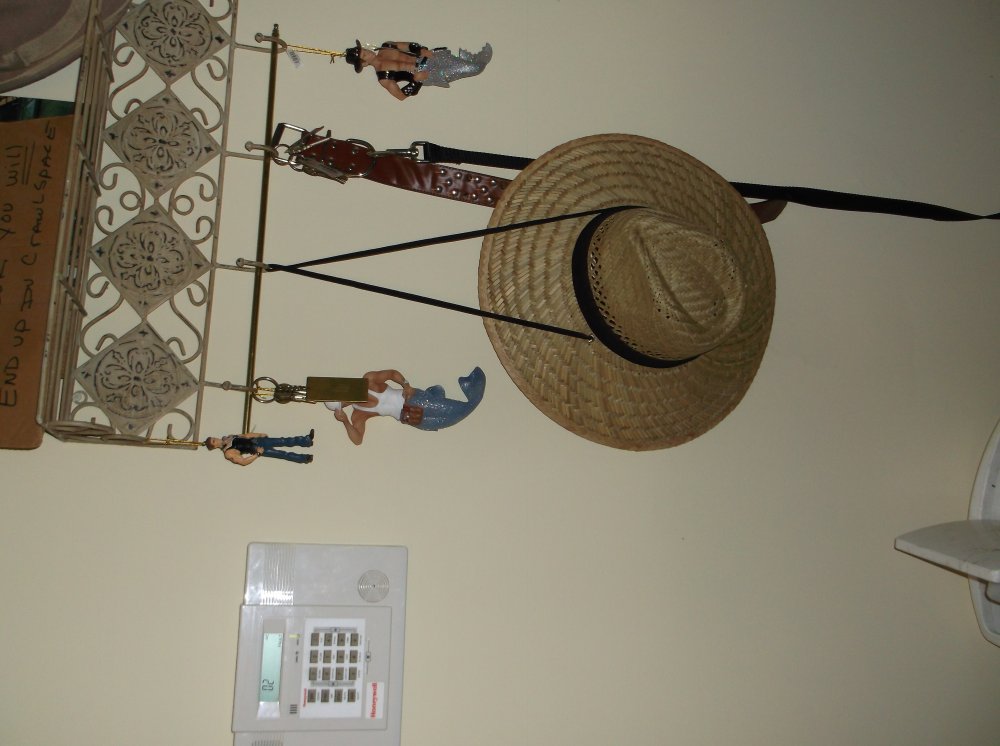 DSCF0189.JPG