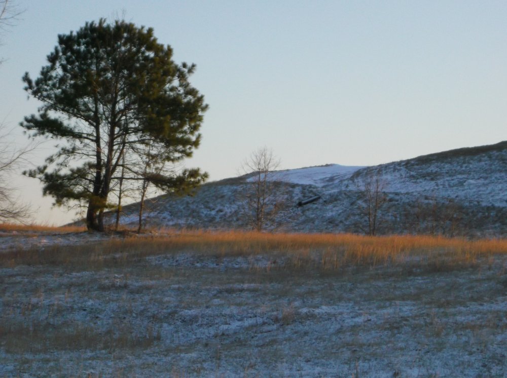 DSCF0194.JPG