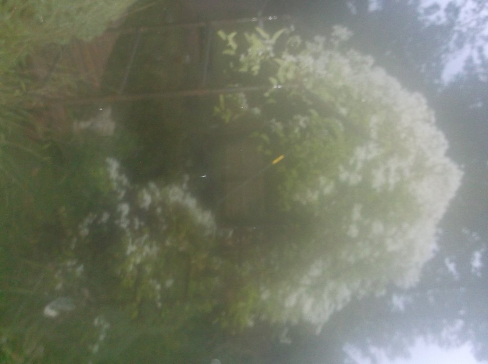 DSCF0266.JPG