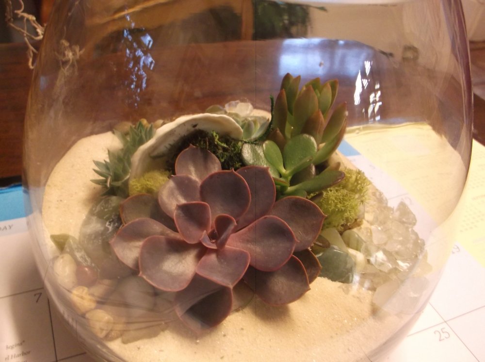 DSCF0368.JPG