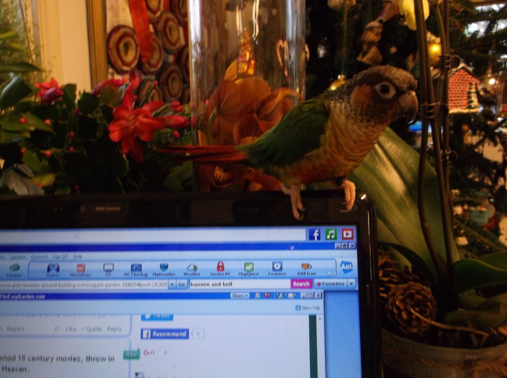 DSCF0389.JPG