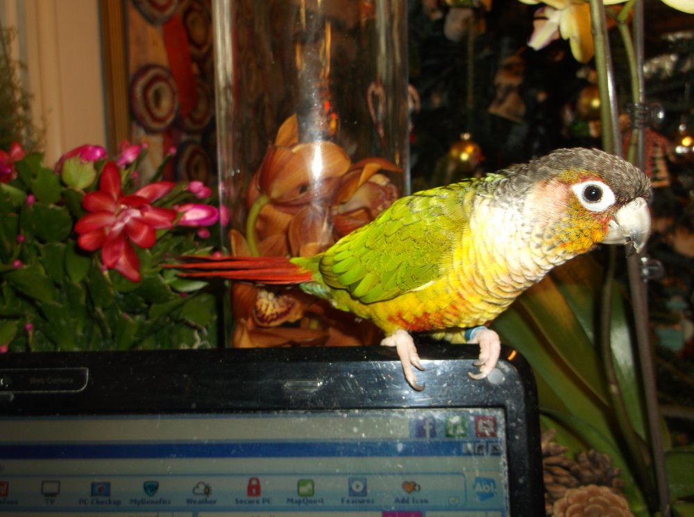 DSCF0390.JPG