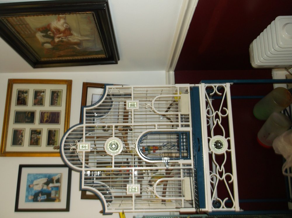 DSCF0431.JPG