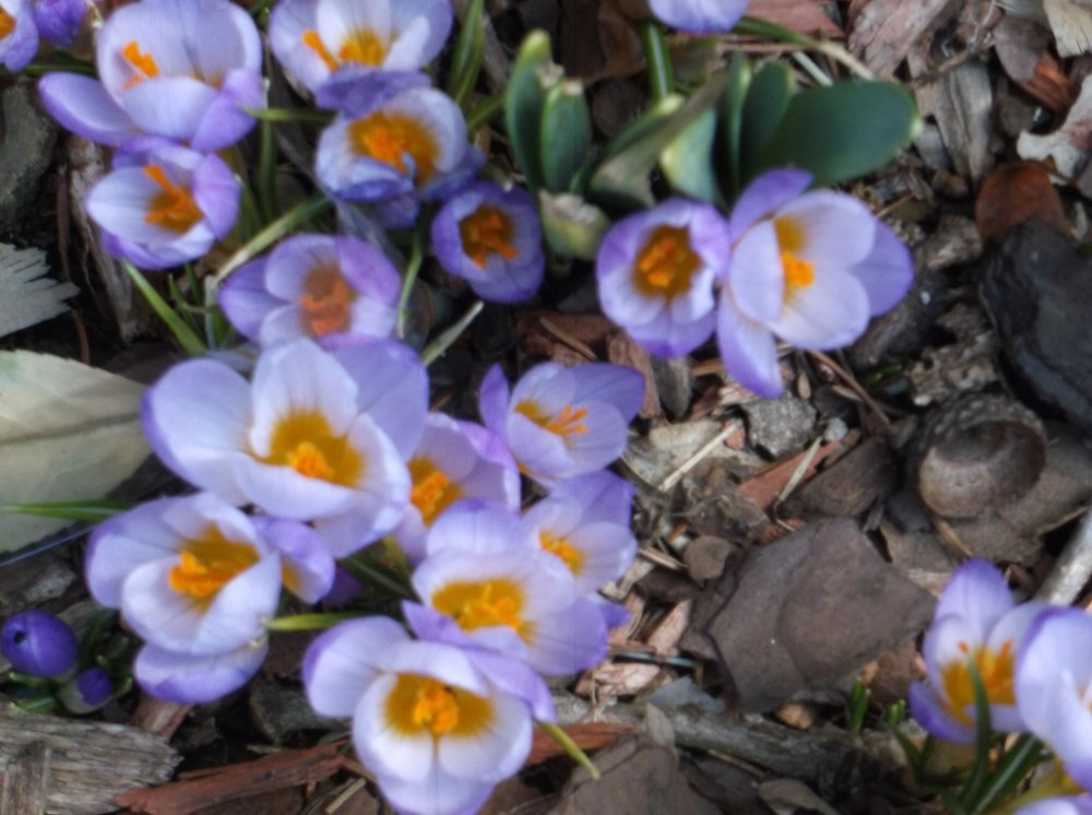DSCF0472.JPG