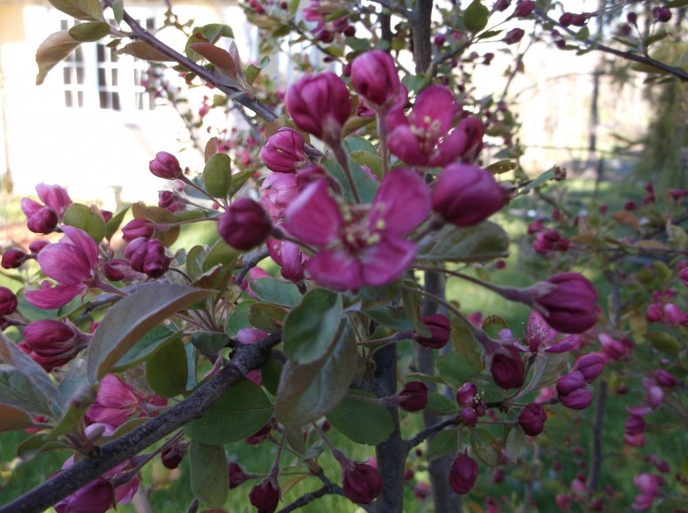 DSCF0533.JPG