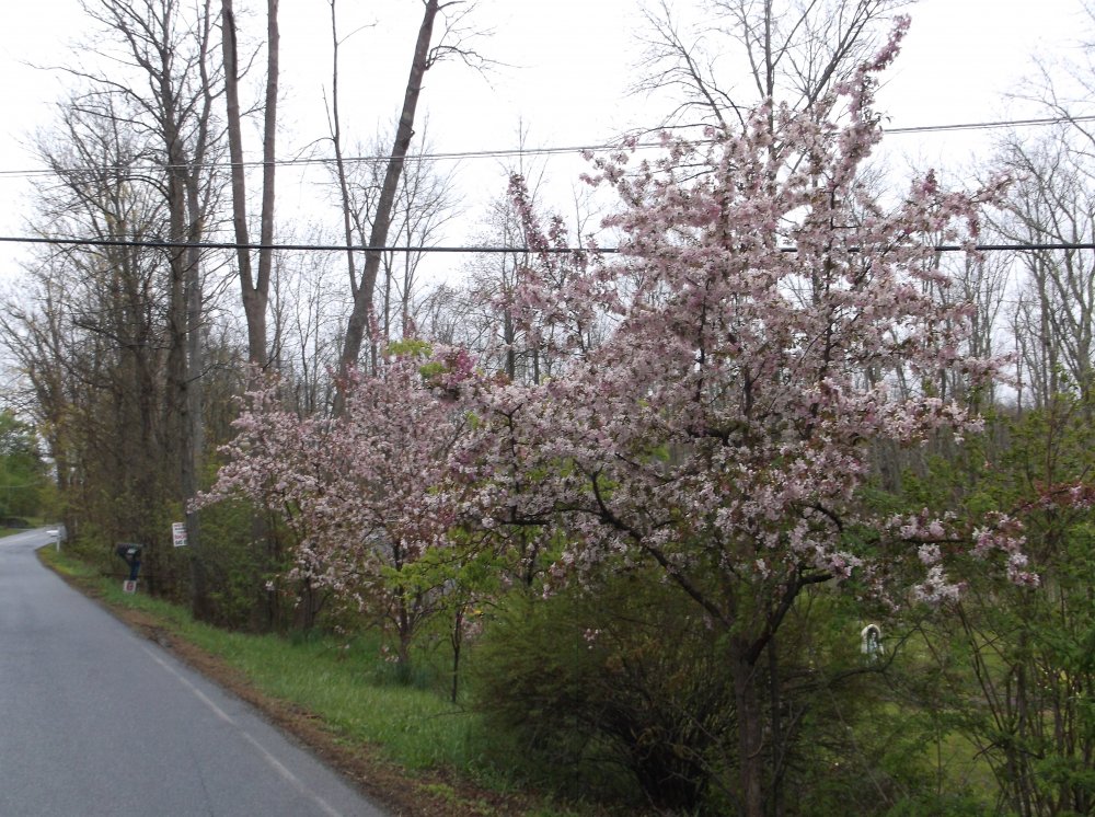 DSCF0545.JPG