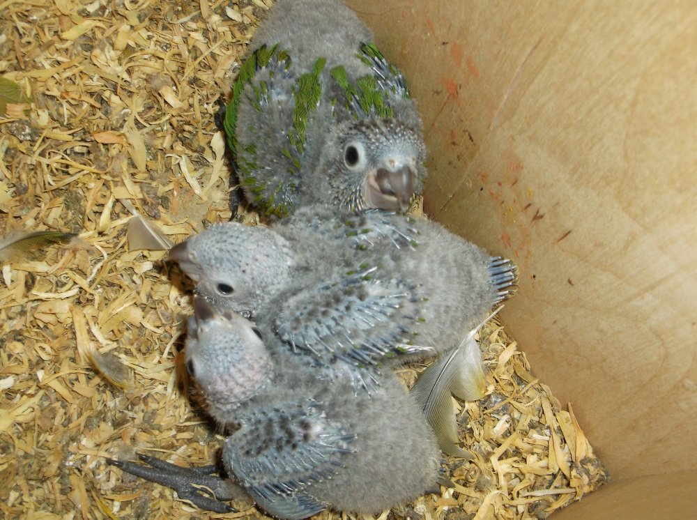 DSCF0614.JPG