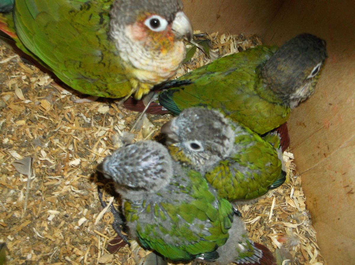 DSCF0645.JPG