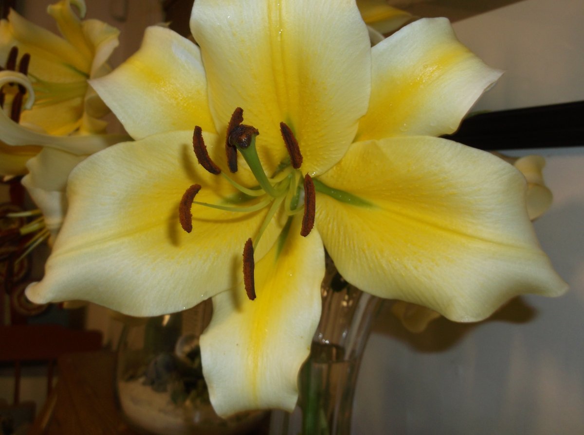 DSCF0730.JPG