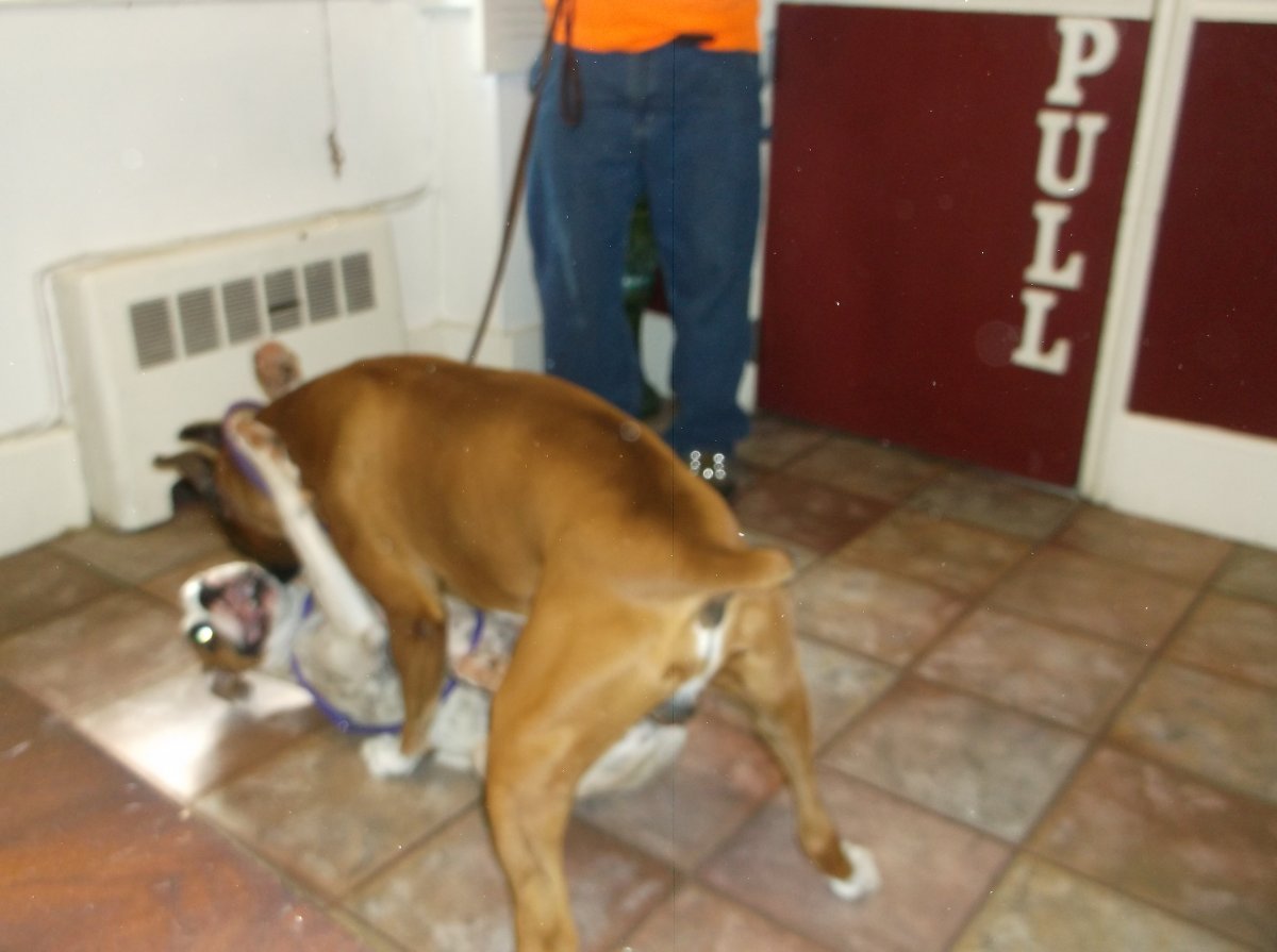 DSCF0747.JPG