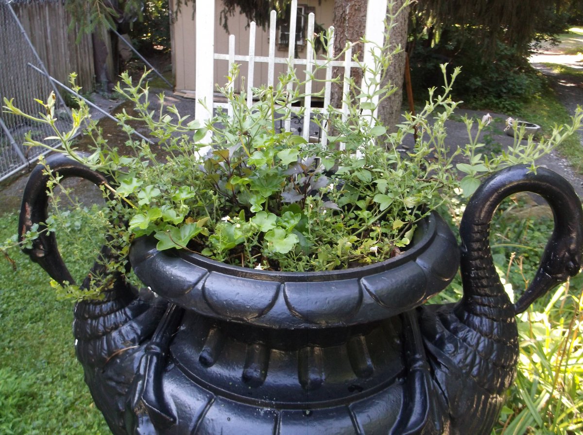 DSCF0753.JPG