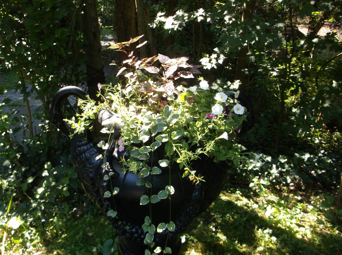 DSCF0754.JPG