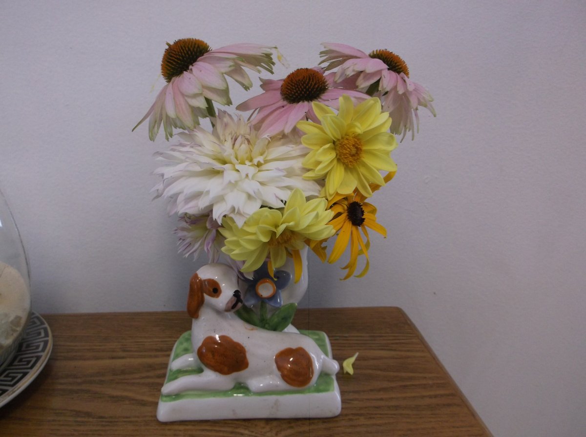 DSCF0768.JPG