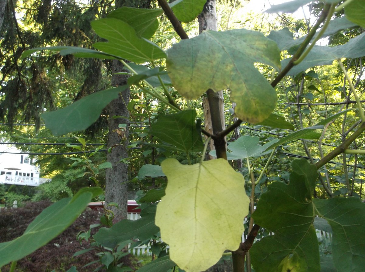 DSCF0772.JPG