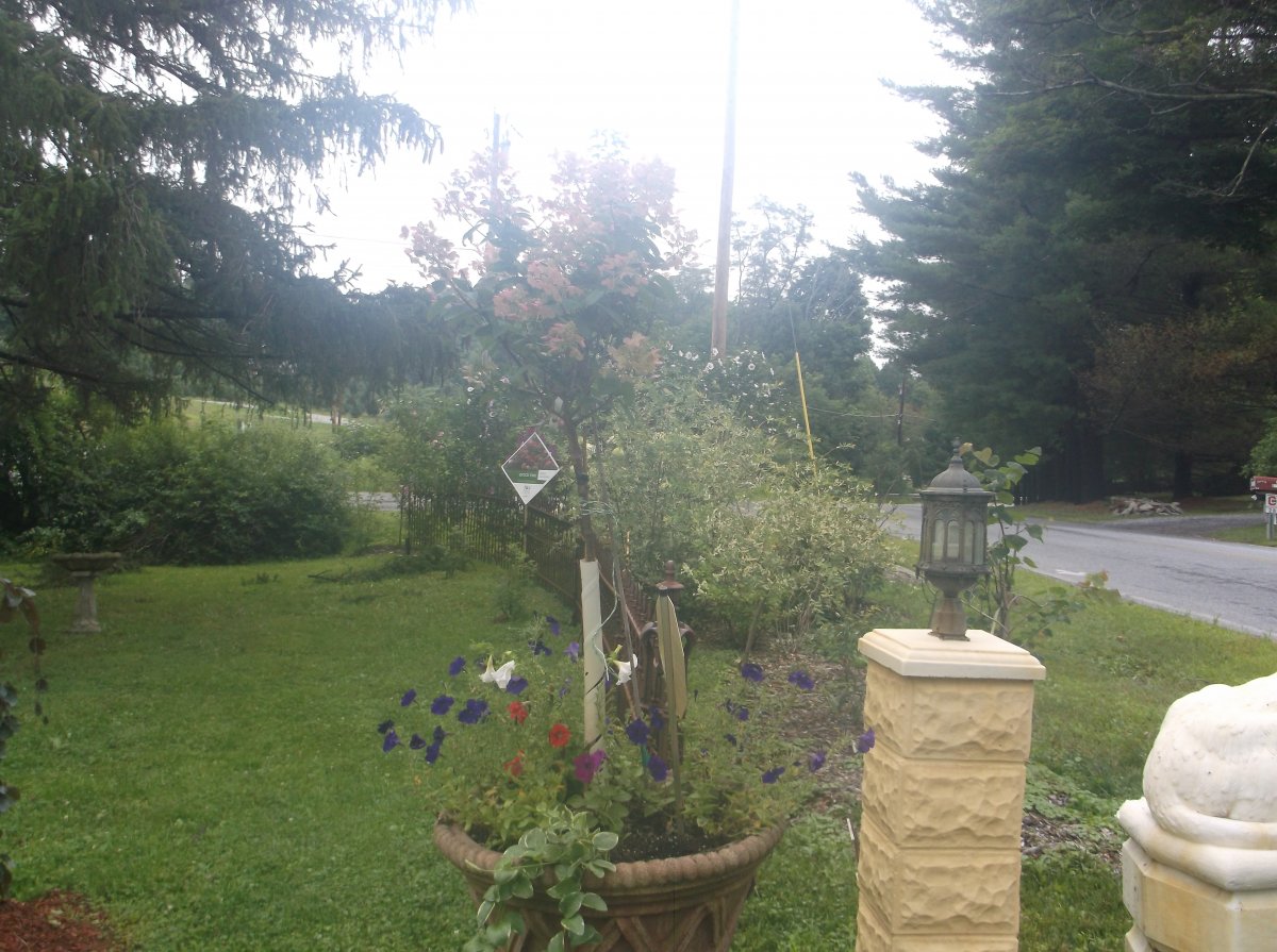 DSCF0778.JPG