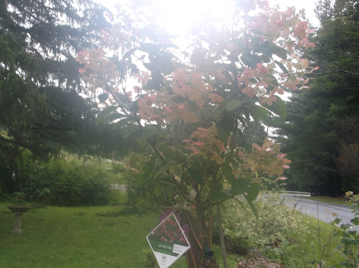 DSCF0779.JPG