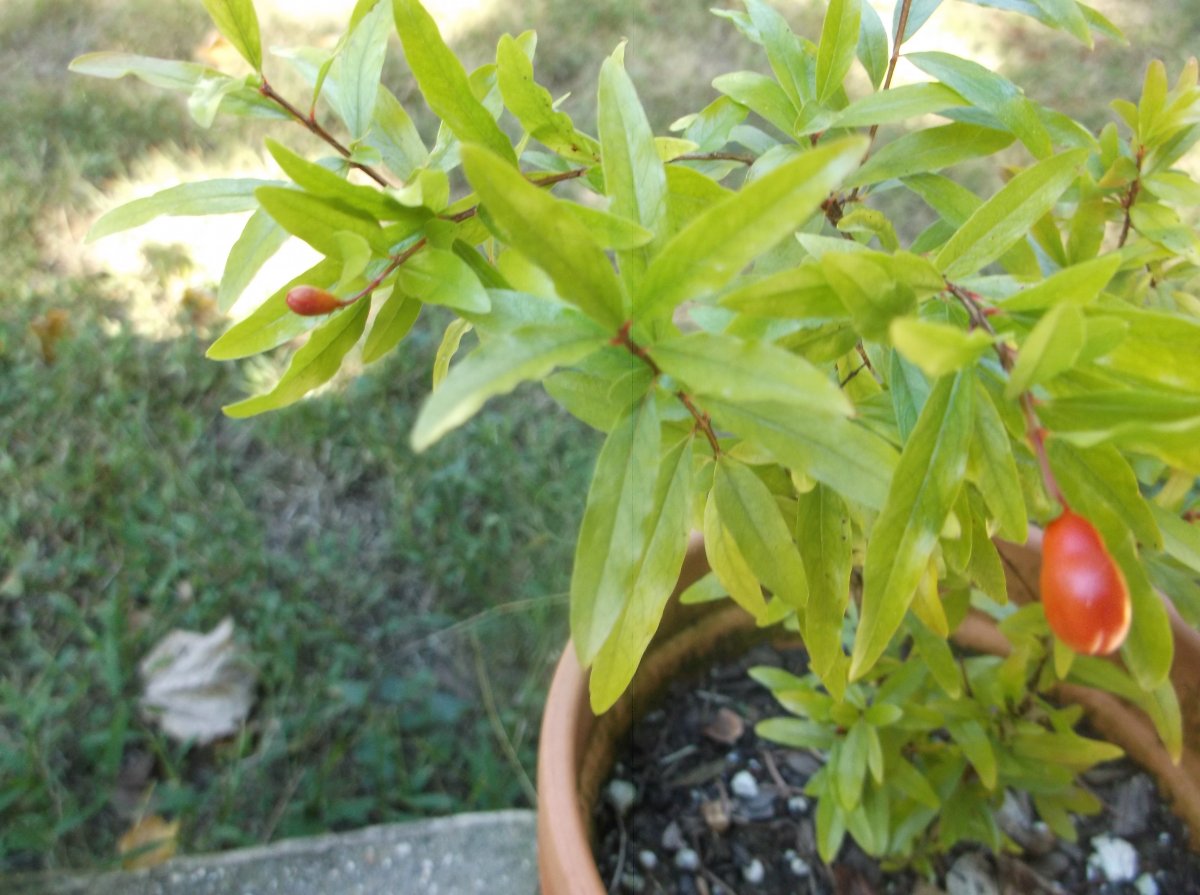 DSCF0843.JPG