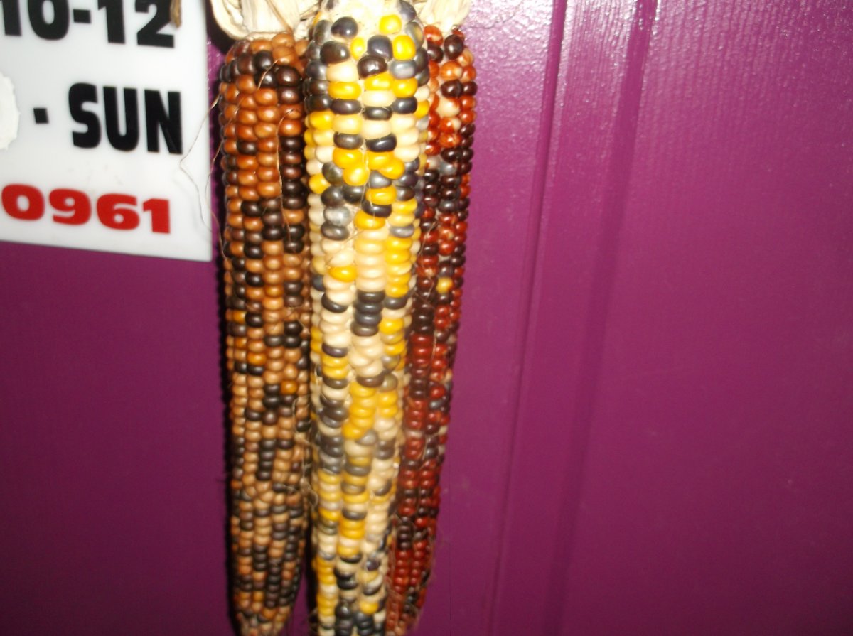 DSCF0858.JPG