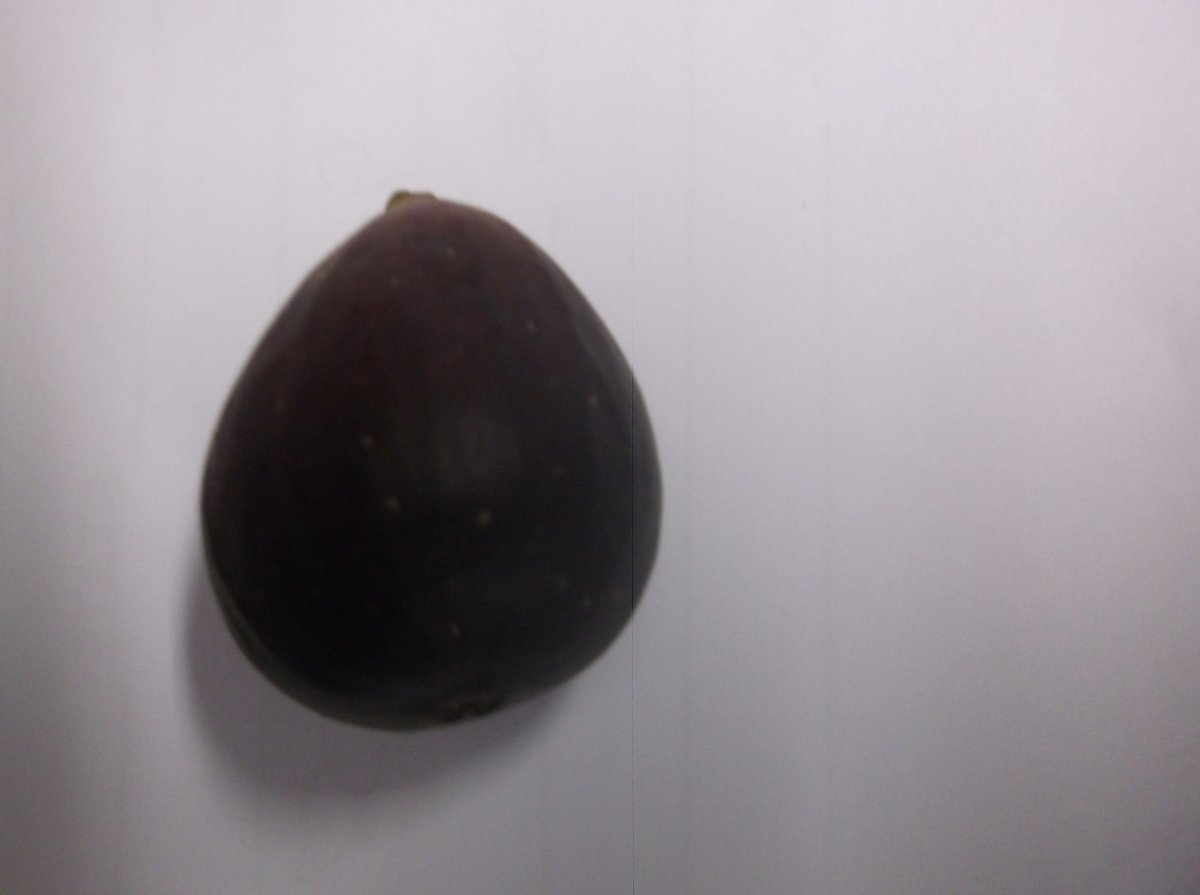 DSCF0866.JPG