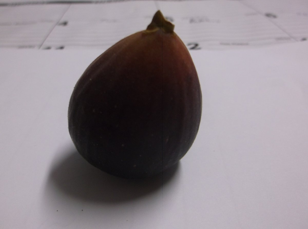 DSCF0867.JPG