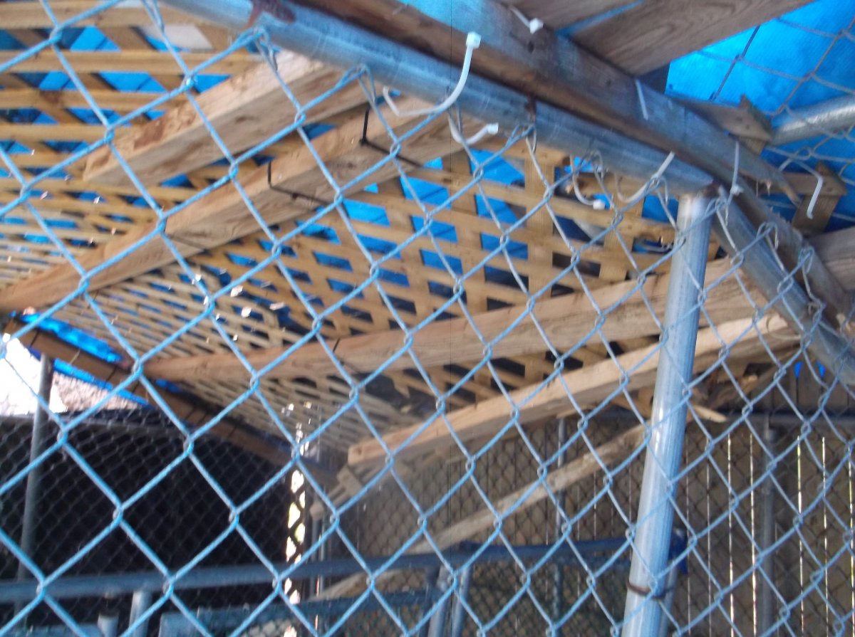 DSCF0915.JPG