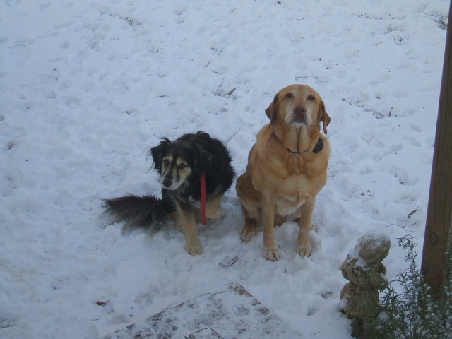 DSCF1146.jpg