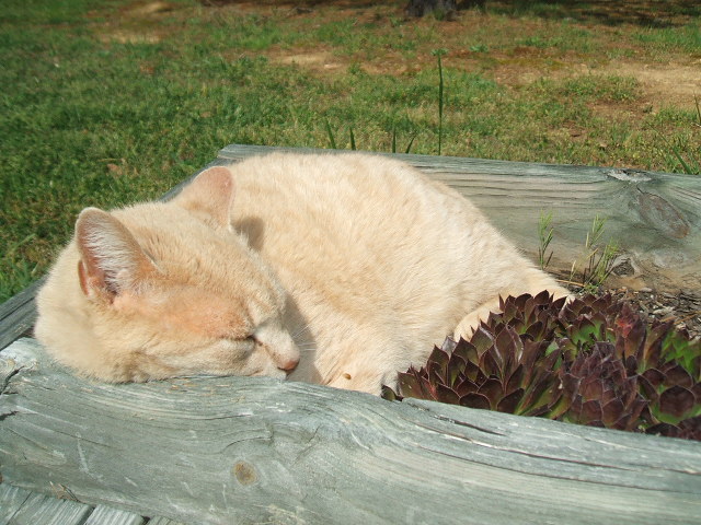 DSCF1281.JPG