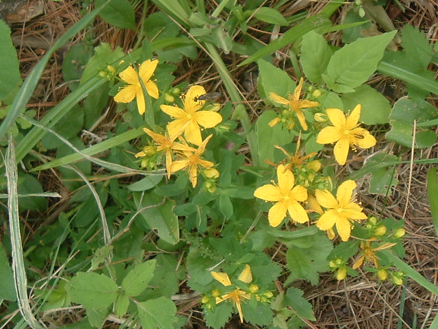DSCF1573.JPG
