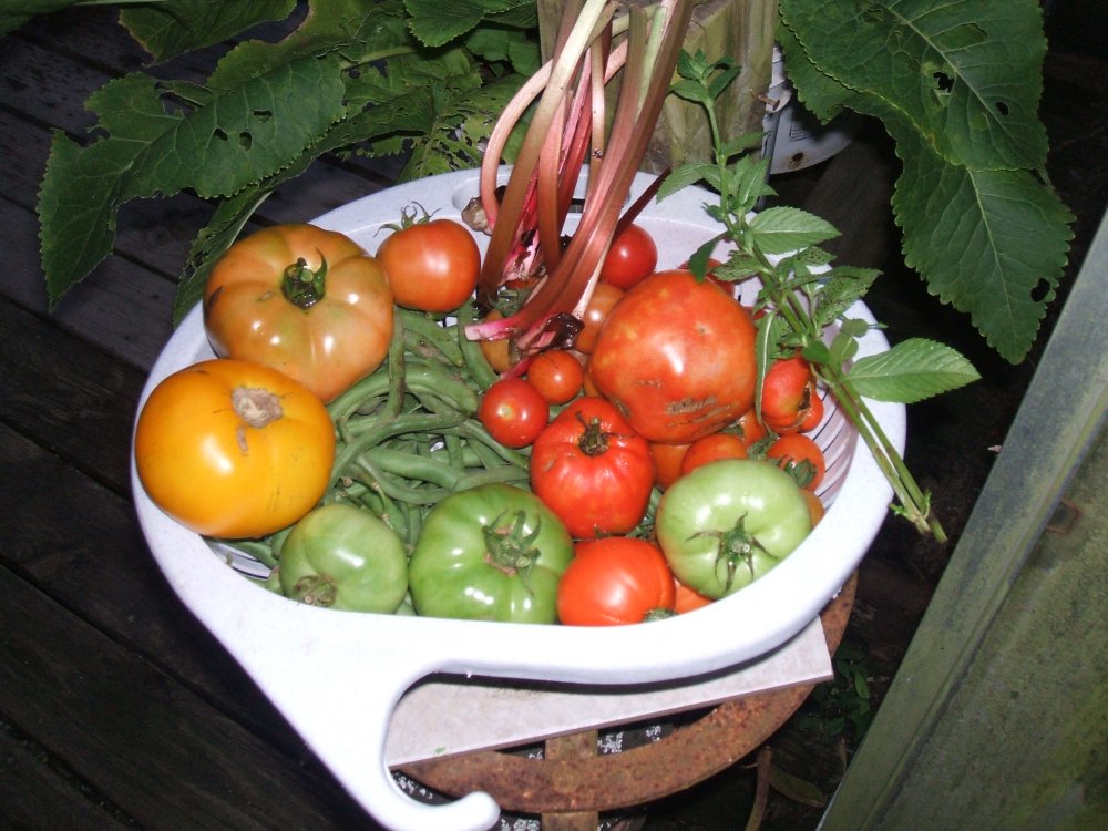 DSCF2037.JPG