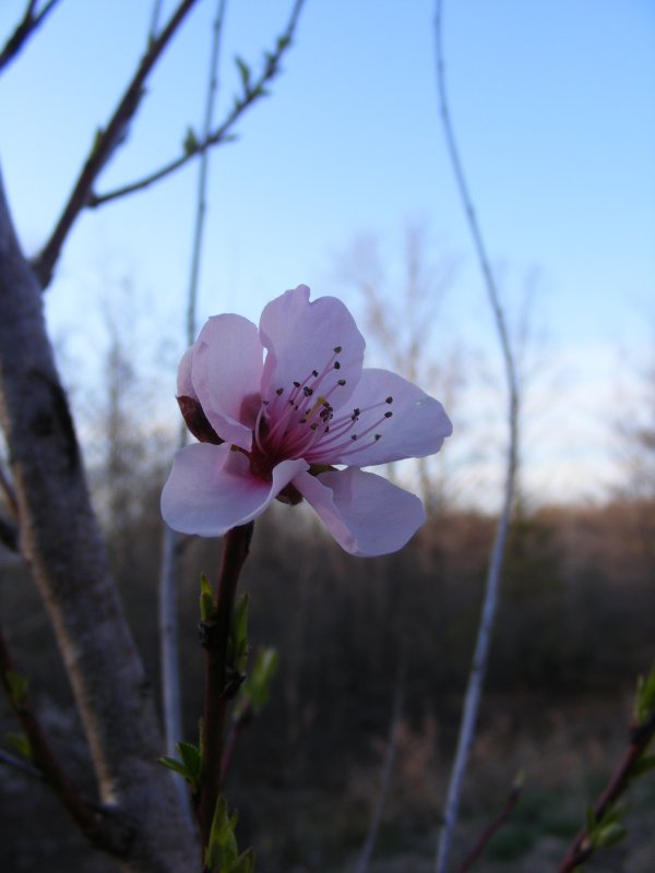 DSCF2221.jpg