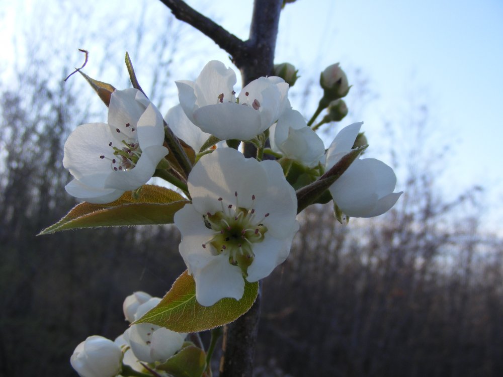 DSCF2222.jpg