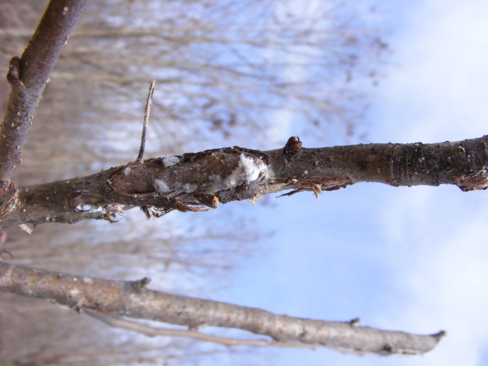 DSCF2227.jpg