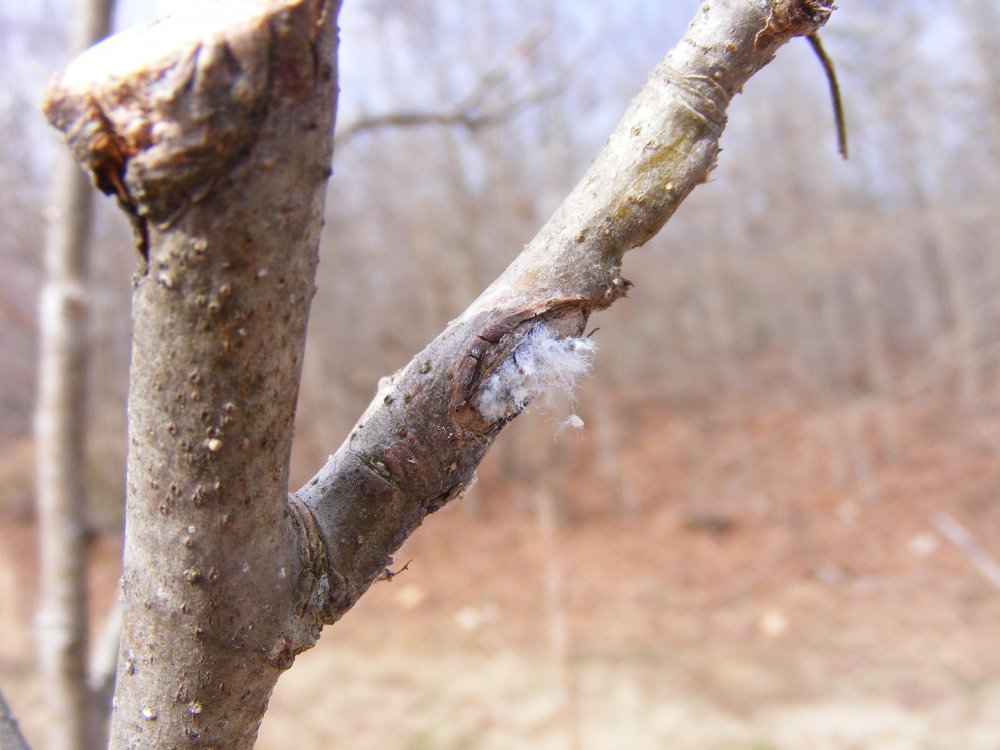 DSCF2228.jpg