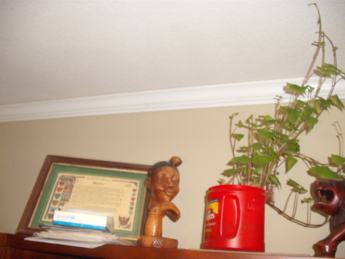 DSCF2672.JPG