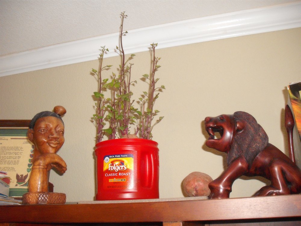DSCF2932.JPG