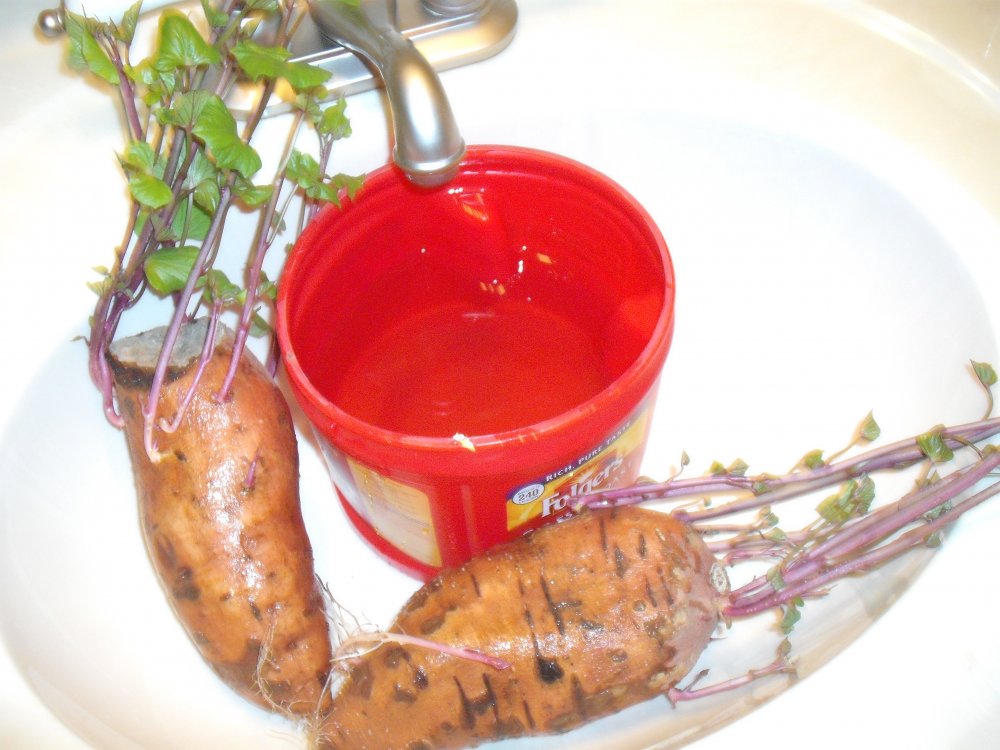 DSCF2933.JPG