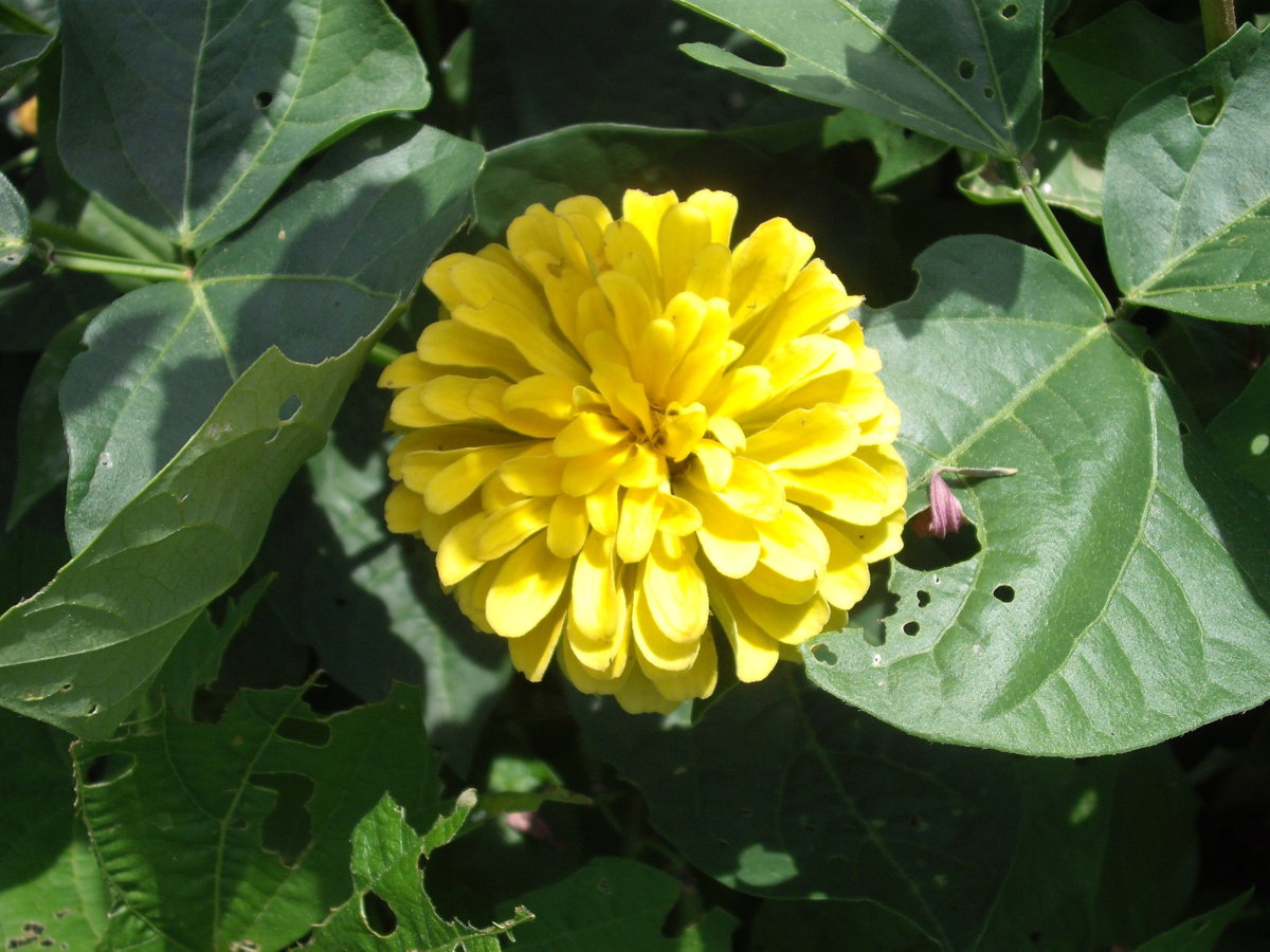 DSCF4143.JPG