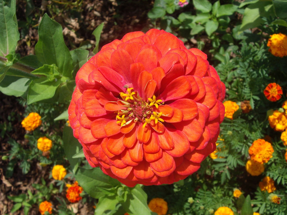 DSCF4161.JPG