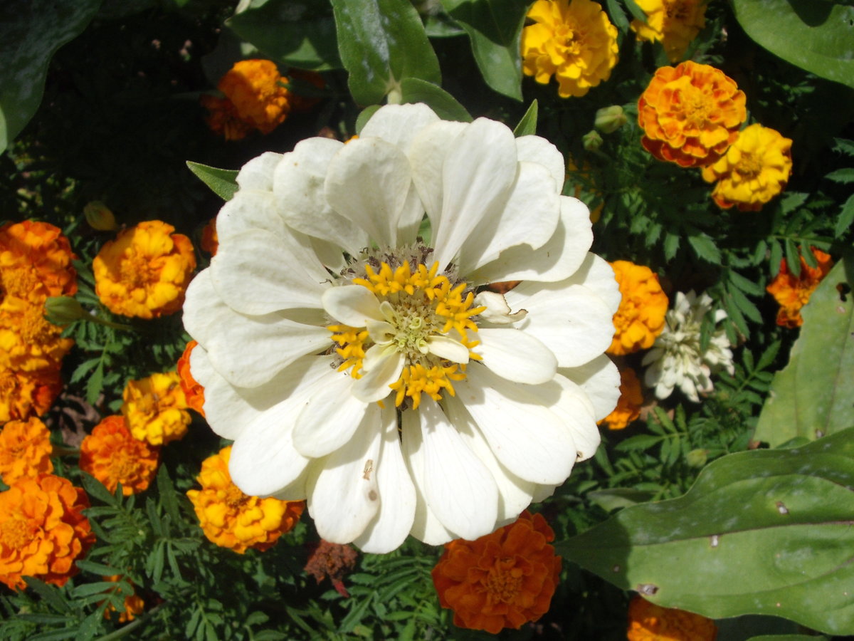 DSCF4164.JPG