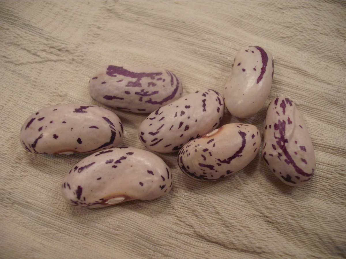 DSCF4711.JPG